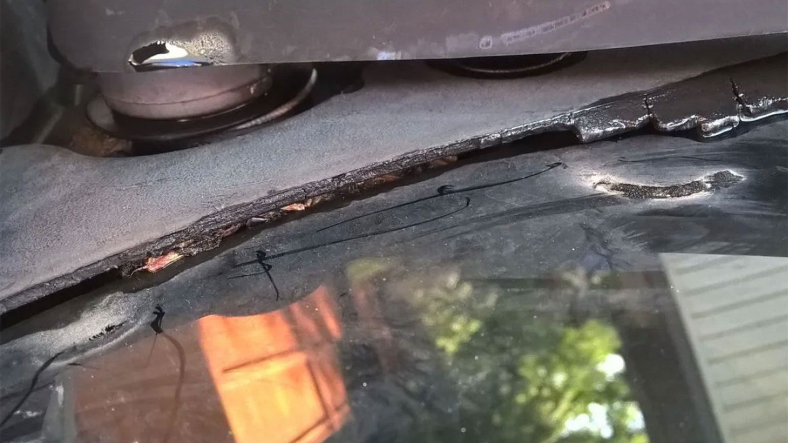 Πάρκαρες κάτω από δέντρο; Το κόλπο για να μη γεμίσει υγρασία η καμπίνα